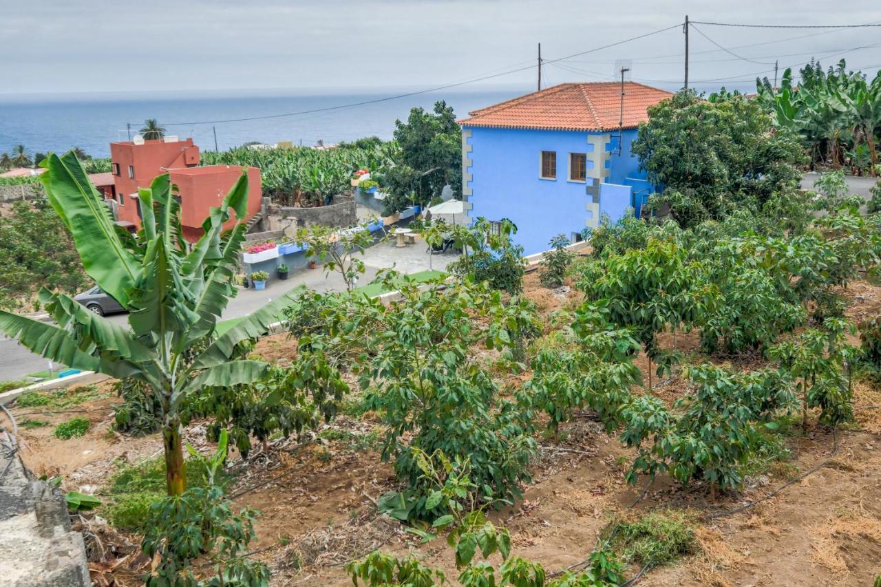 Casa Las Canas Икод-де-лос-Винос Экстерьер фото